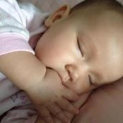 Kent Scholla's photo