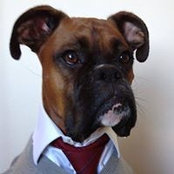 Paul Caroly's photo