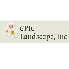 Epic Landscape