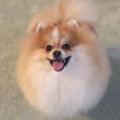 Anne Frankel's photo