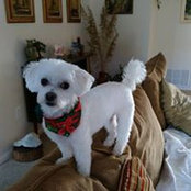 Sharon Lamb's photo