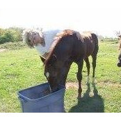 Tana Abrahamson's photo