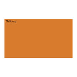 Dulux- Sunbird Orange - Paint