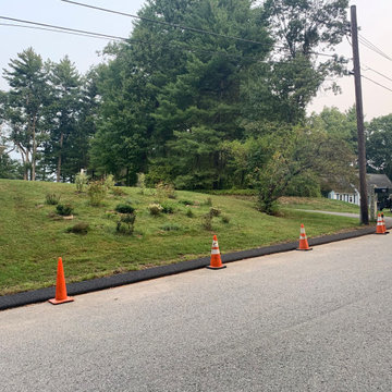 Front Yard Lawn Renovation/Planting