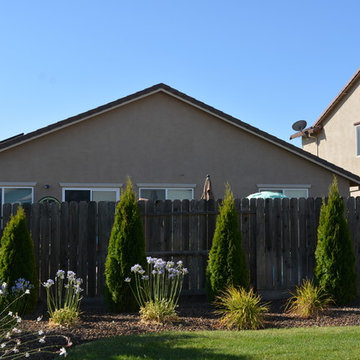 Blank Canvas to Beautiful Backyard