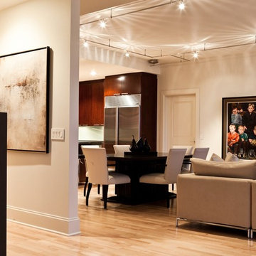 Chicago Transitional Zen