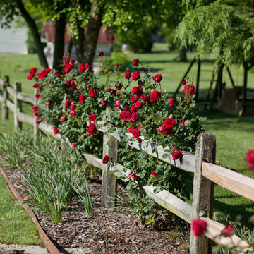 Witherspoon Rose Garden