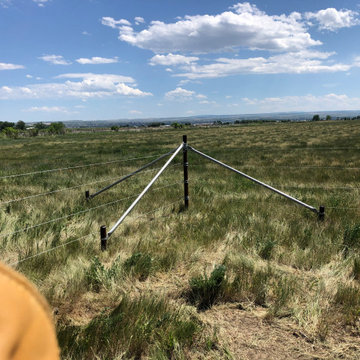 Laurel Horse Corral