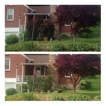 landscaping, shrub and hedge trimming