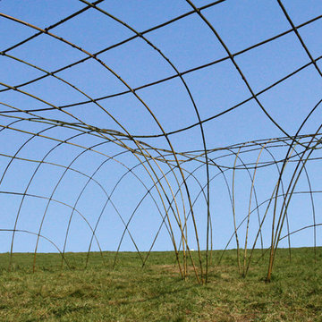 Structure Géante en bambou