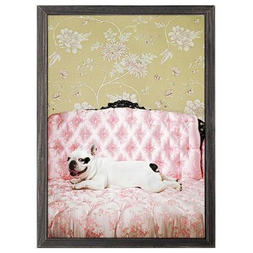 "Dog Collection, Lounging Pup" Mini Framed Canvas by Catherine Ledner