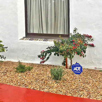 Gravel & Drought-resistant Plants