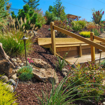 Terraced Backyard
