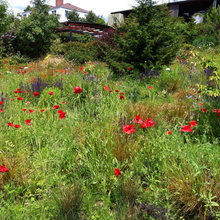 Natural Gardens