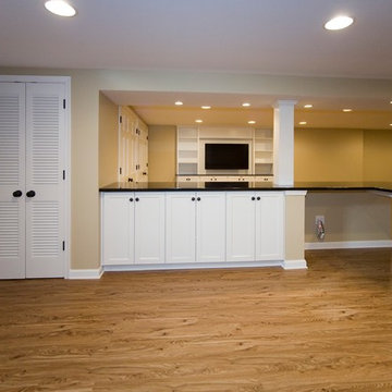 Berwyn New Basement for Young Family