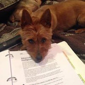 Camille Weeks's photo
