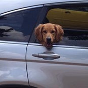 Nancy Duncan's photo