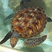 Tami Bryant's photo