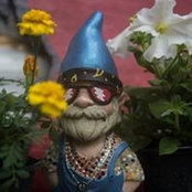 Brian Kersey's photo
