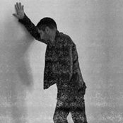 Fernando Frontera's photo