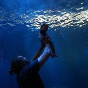 Leo Wolff's photo