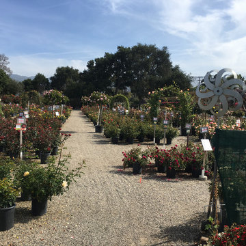 Local Nurseries
