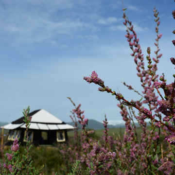 Eco-Conscious, Luxury in the Wild: Norden Camp