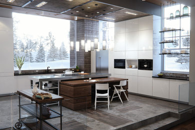 Design ideas for a modern kitchen in Other.