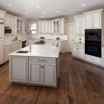 Oakton Kitchen Facelift