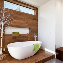 Basement Bathroom