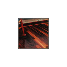 American Black Walnut