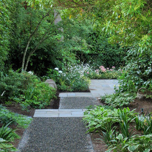 Réalisation d'un jardin arrière design avec une exposition ombragée.