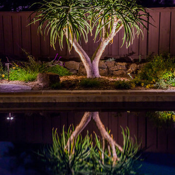 Playful Grotto