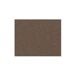 Walnut - Caesarstone Collections - Kitchen Benchtops