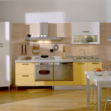 Stainless Steel-Aluminum Kitchen ideas