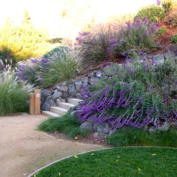 Confidence Landscaping, Inc.