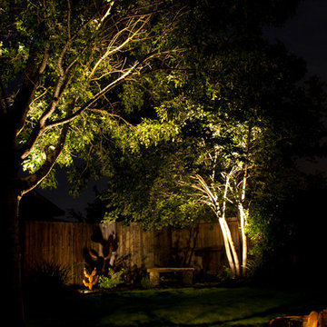 Back yard