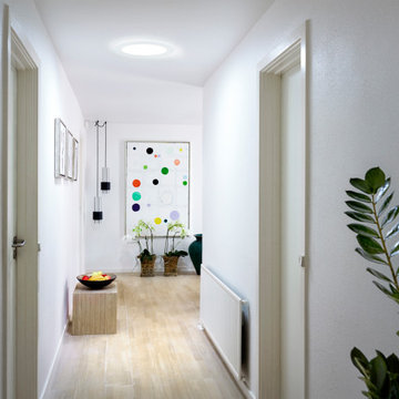 VELUX 2026 Story #1 US