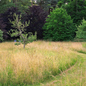 Meadows