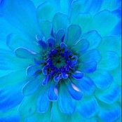 Sharon Farley Goodin's photo