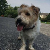 David Hardek's photo