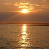 Dorothy Leonard's photo