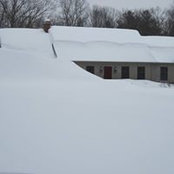 Judy Luce's photo