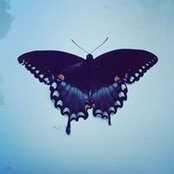 Rhian Herring-Denning's photo