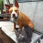 Vicki Huntley's photo