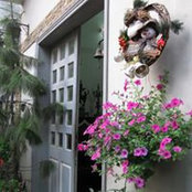 Đồng Lê Hiệp's photo