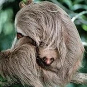 Foto de Nancy Lipko
