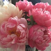 Sally Schilling's photo