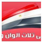 Dalia Mohamed's photo