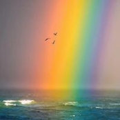 Dana Sullivan's photo